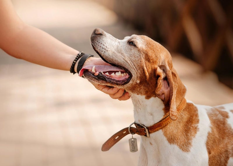 DkOvn 37pcs Metal Stamping Kit, 3mm(1/8") Number and Letter Stamp Set, Include Artistic Font Uppercase, Number Punch and Heart Design Stamp - Image 5